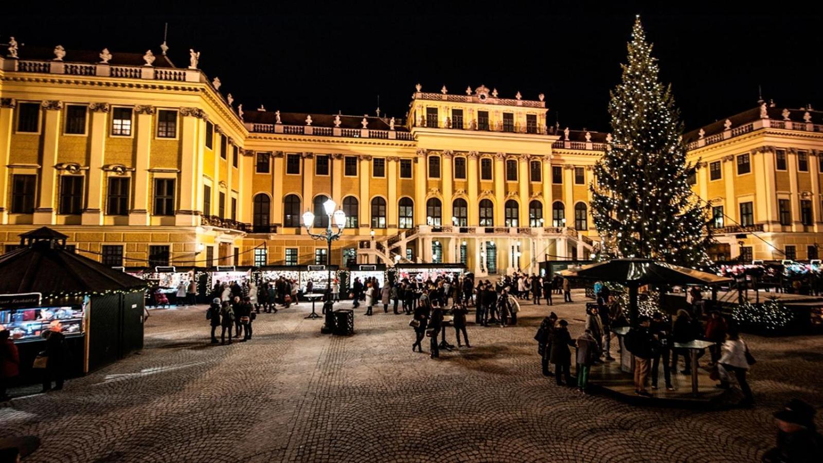 Family&Friends Apartments Schoenbrunn فيينا المظهر الخارجي الصورة
